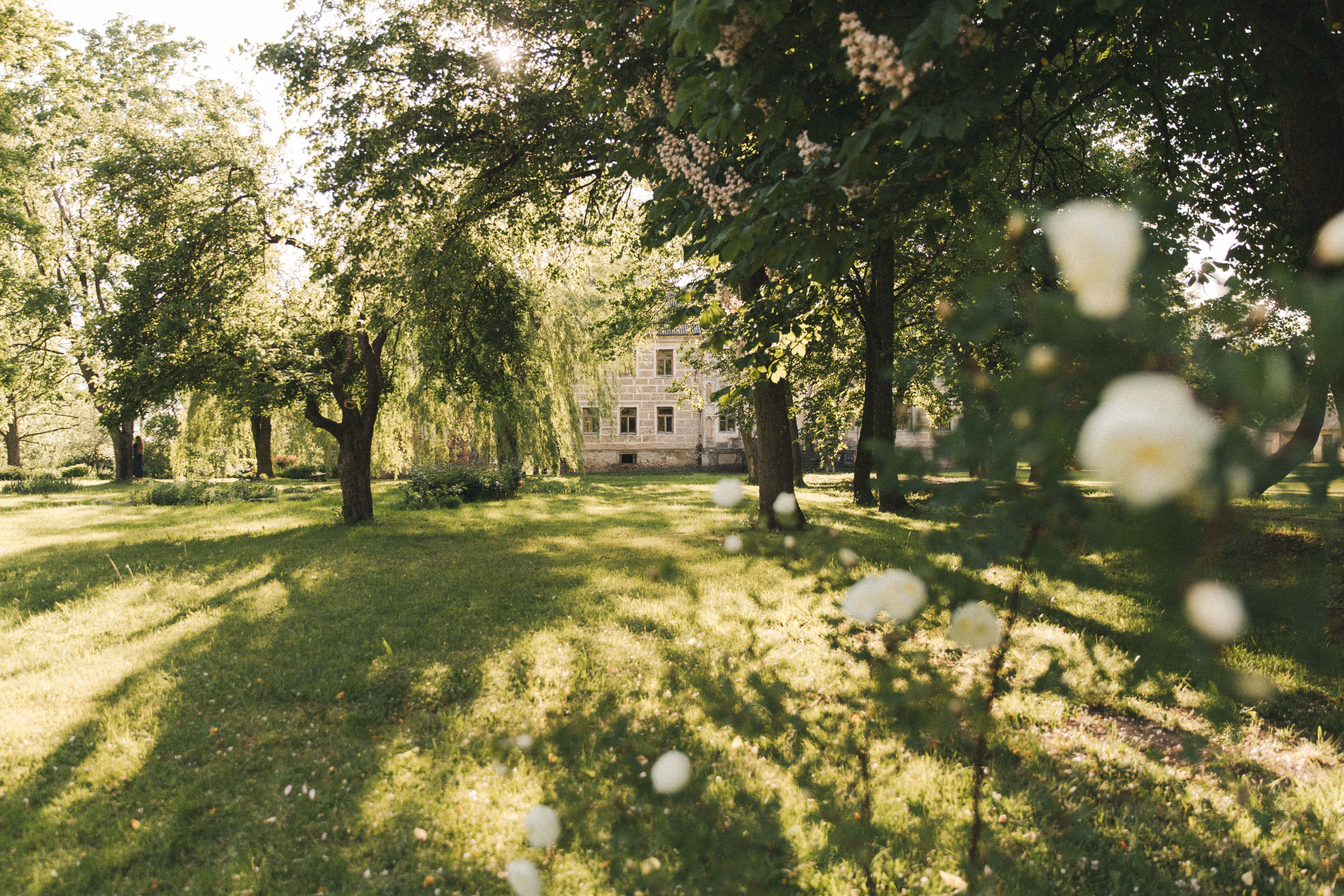 Dvaro vaizdas su gėlėmis